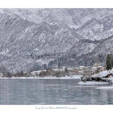 House With 3 Bedrooms In With Wonderful Lake View And Wifi 100 Km From The Beach 別荘 バルチス